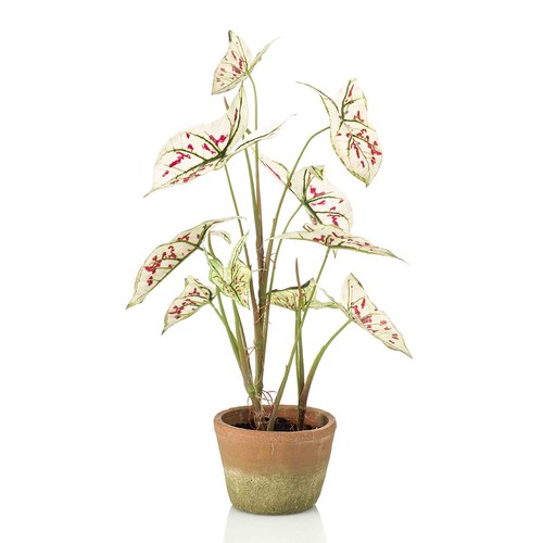 荷蘭Emerald人造植物 彩葉芋奶紅色-陶盆 (60cm)
