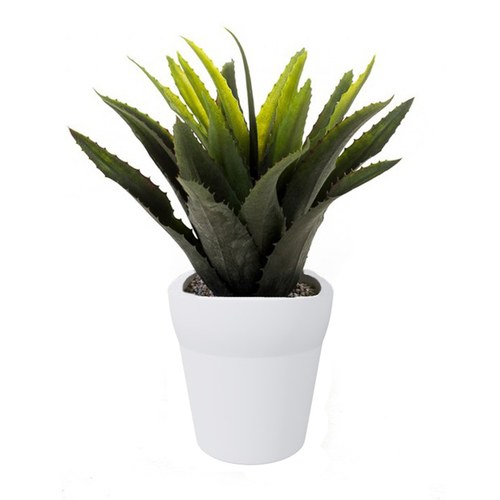 荷蘭Emerald人造植物 龍舌蘭-白盆 (29cm)