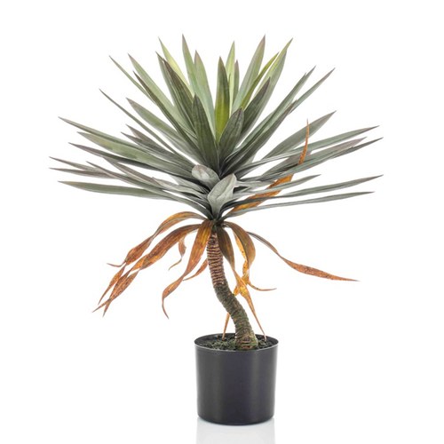 荷蘭Emerald人造植物 絲蘭盆栽 (75cm)