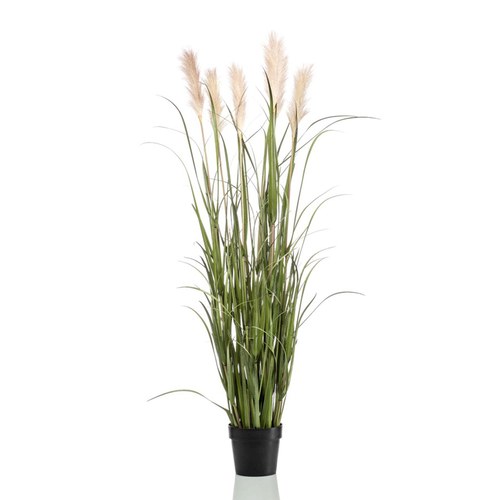荷蘭Emerald人造植物 潘帕斯草盆栽 (160cm)