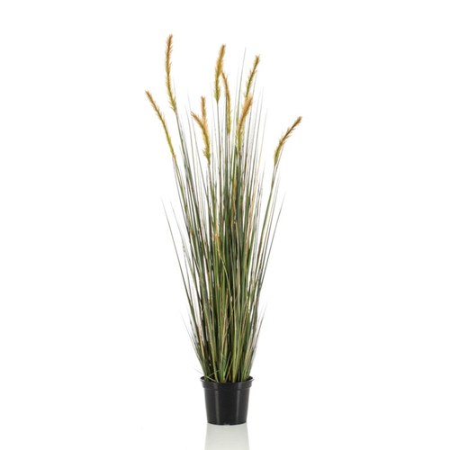 荷蘭Emerald人造植物 狐尾草盆栽 (120cm)