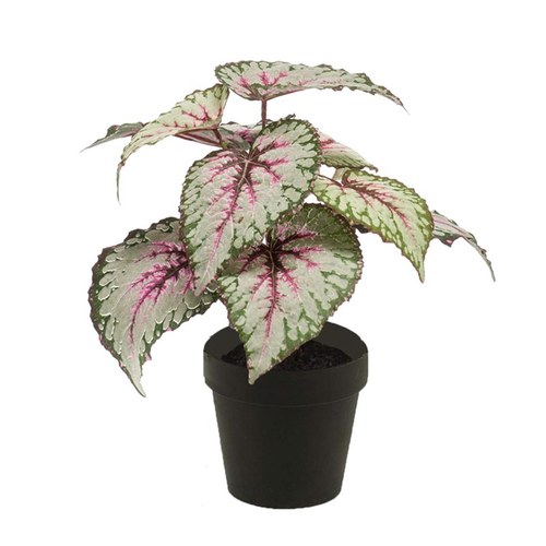 荷蘭Emerald人造植物 秋海棠葉盆栽-灰粉色 (26cm)
