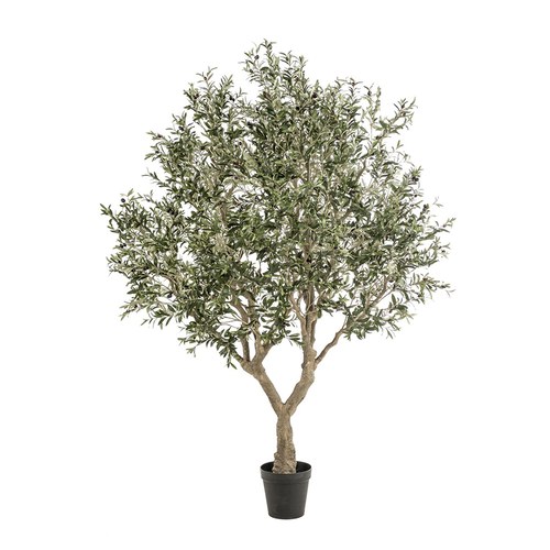 荷蘭Emerald人造植物 橄欖樹盆栽 (250cm)