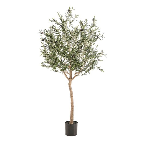 荷蘭Emerald人造植物 橄欖樹盆 (180cm)