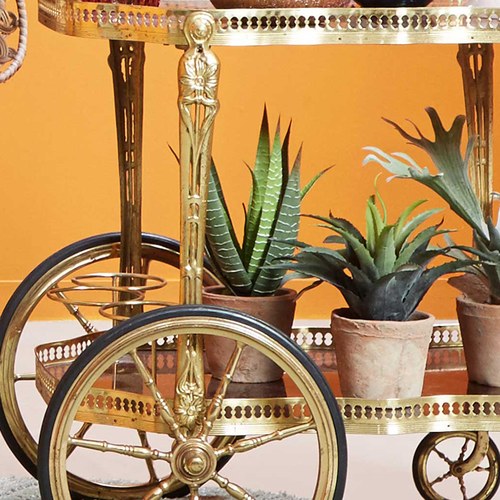 荷蘭Emerald人造植栽 費拉蘆薈 (紅盆)