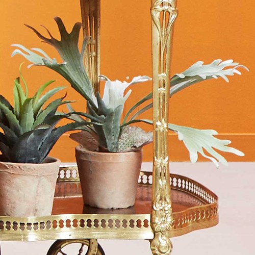 荷蘭Emerald人造植栽 鹿角蕨 (紅盆)