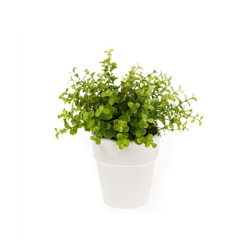 荷蘭Emerald人造植栽 尤加利葉 (白盆)