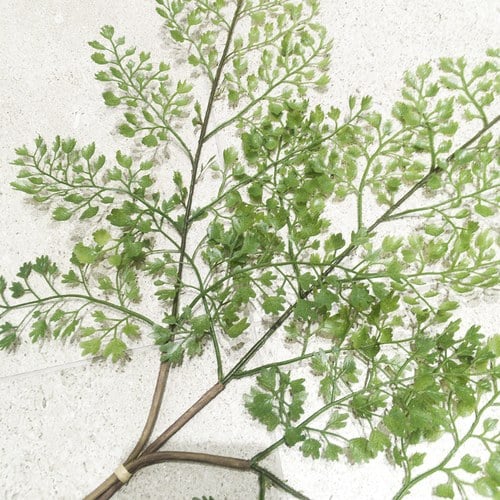 荷蘭Emerald人造植物 鐵線蕨 (長58公分)