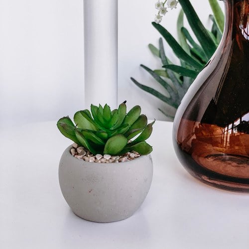 荷蘭Emerald人造植栽 阿吉塔玫瑰多肉植物