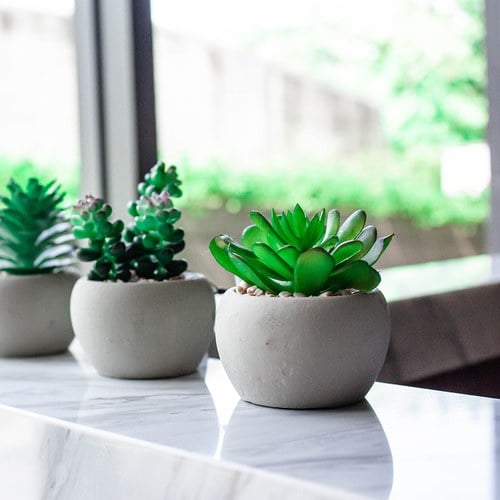 荷蘭Emerald人造植栽 阿吉塔玫瑰多肉植物