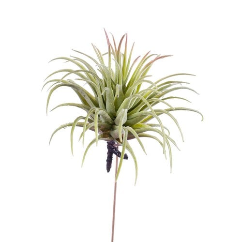 荷蘭Emerald人造植物 空氣鳳梨 (長12公分)