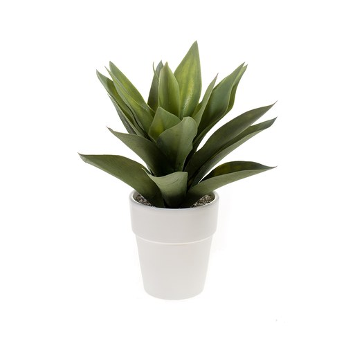 荷蘭Emerald人造植栽 小龍舌蘭灌木 (白盆)