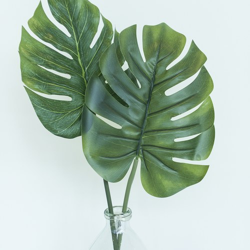 荷蘭Emerald人造植物 電信蘭綠植葉片 (長73公分)