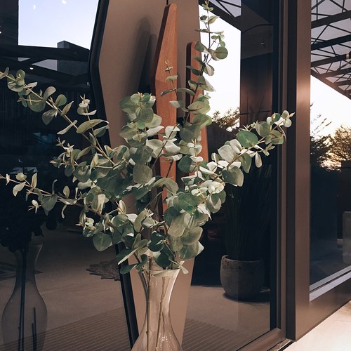 荷蘭Emerald人造植物 尤加利葉 (長115公分)