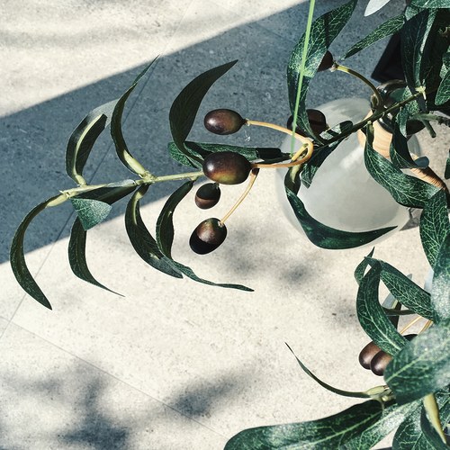 荷蘭Emerald人造植物 橄欖枝葉 (長100公分)