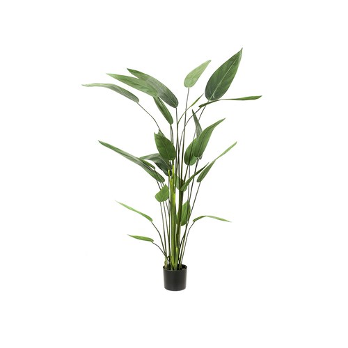 荷蘭Emerald人造植栽 蠍尾蕉綠葉叢 (高175公分)