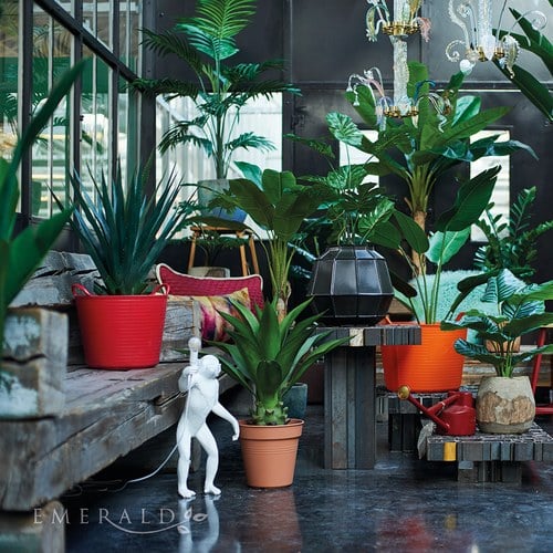 荷蘭Emerald人造植栽 天堂鳥綠葉叢 (高230公分)