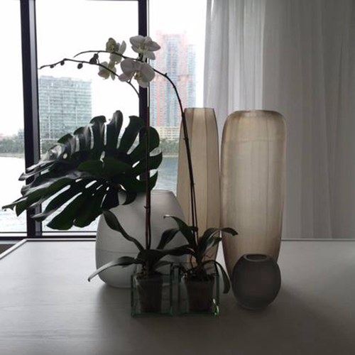 德國Guaxs玻璃花器 KOONAM系列 (煙燻灰、高68公分)