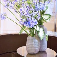 德國Guaxs玻璃花器BELLY系列(褐、高24公分)