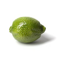 德國BULL&STEIN 鮮綠色陶瓷釉光檸檬雕塑 (室內、直徑26公分)