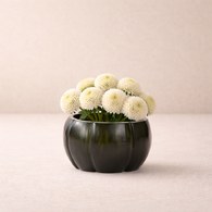 德國Guaxs玻璃燭台 LALIBELA系列 (黑鐵灰、高7公分)