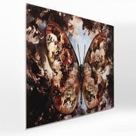 德國KARE 當代花蝴蝶藝廊掛畫 (150x100 公分)