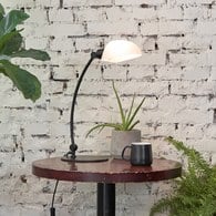 VULTURE 兀鷲|桌燈 (霧白玻/霧黑)