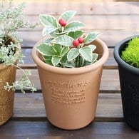 日本 八幡化成 城市農夫圓盆(S號、直徑12公分)