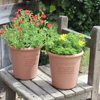 日本 八幡化成 城市農夫圓盆(S號、直徑12公分)