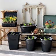 日本 八幡化成 城市農夫圓盆L號、直徑18.5公分)