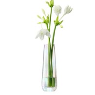 英國LSA 貝殼絢彩水滴弧底花器