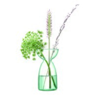 英國LSA 伊甸園計畫 清新小花器3入組