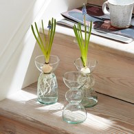 英國LSA 伊甸園計畫 清新小花器3入組