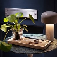 英國LSA 城市綠洲 桌上型收納花盆