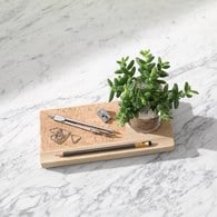 英國LSA 城市綠洲 桌上型收納花盆