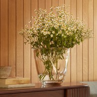 英國LSA 玻璃式香檳冰桶 (高27公分)-CM05