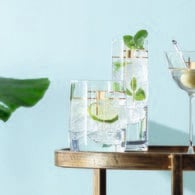 英國LSA 金樽系列水杯4入組(625毫升)-CT10