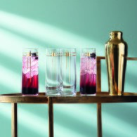 英國LSA 金樽系列高水杯4入組(420毫升)-CT11