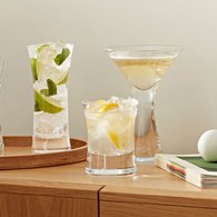 英國LSA Moya寬口雞尾酒杯2入組(300毫升)-MV18