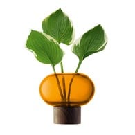 英國LSA 歐式禪風花器 (琥珀、高13.5公分)