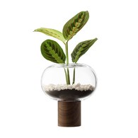 英國LSA 歐式禪風花器 (透明、高21.5公分)