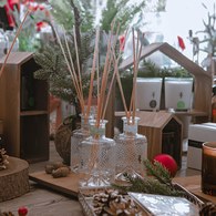 英國True Grace 野生萊姆室內擴香(N°27)