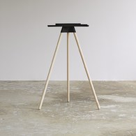 丹麥Tons Bike自行車平板架