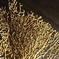 美國MichaelAram 擬真扇狀珊瑚雕塑擺飾 (金)