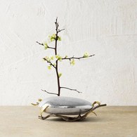 美國Michael Aram 禪意庭園花道花器