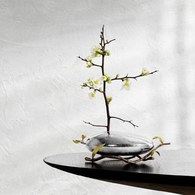 美國Michael Aram 禪意庭園花道花器