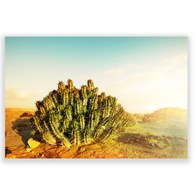 美國TwoPalms 黃金沙漠之丘掛畫 (114公分)