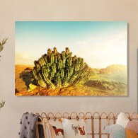 美國TwoPalms 黃金沙漠之丘掛畫 (114公分)