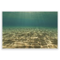 美國TwoPalms 海洋潛水掛畫 (114公分)