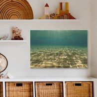 美國TwoPalms 海洋潛水掛畫 (114公分)